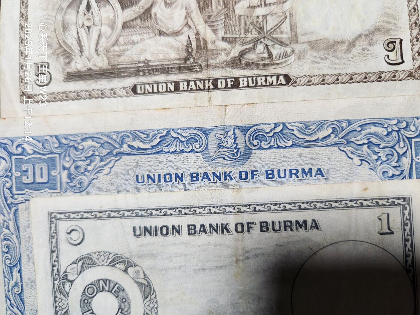 20250130外国纸币专场