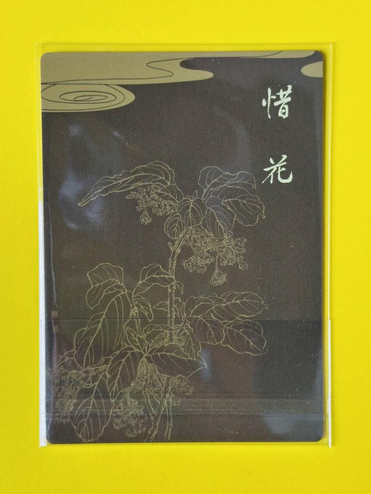 龍虎卡牌2025年第一场（大家春节快乐） 粗闪卡 九轩文化 项维仁-仕女图惜花