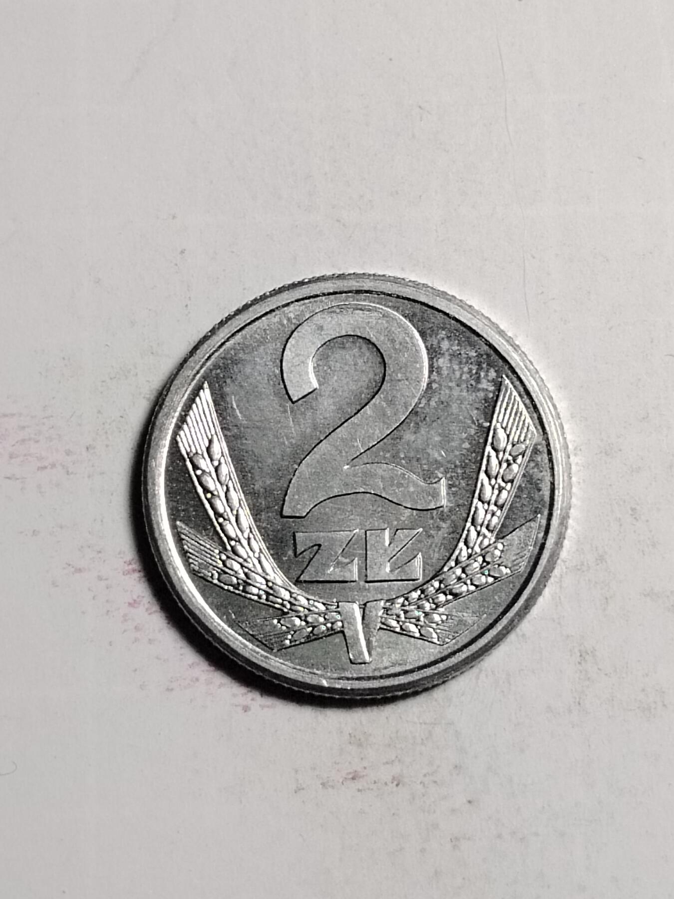 20250130 波兰