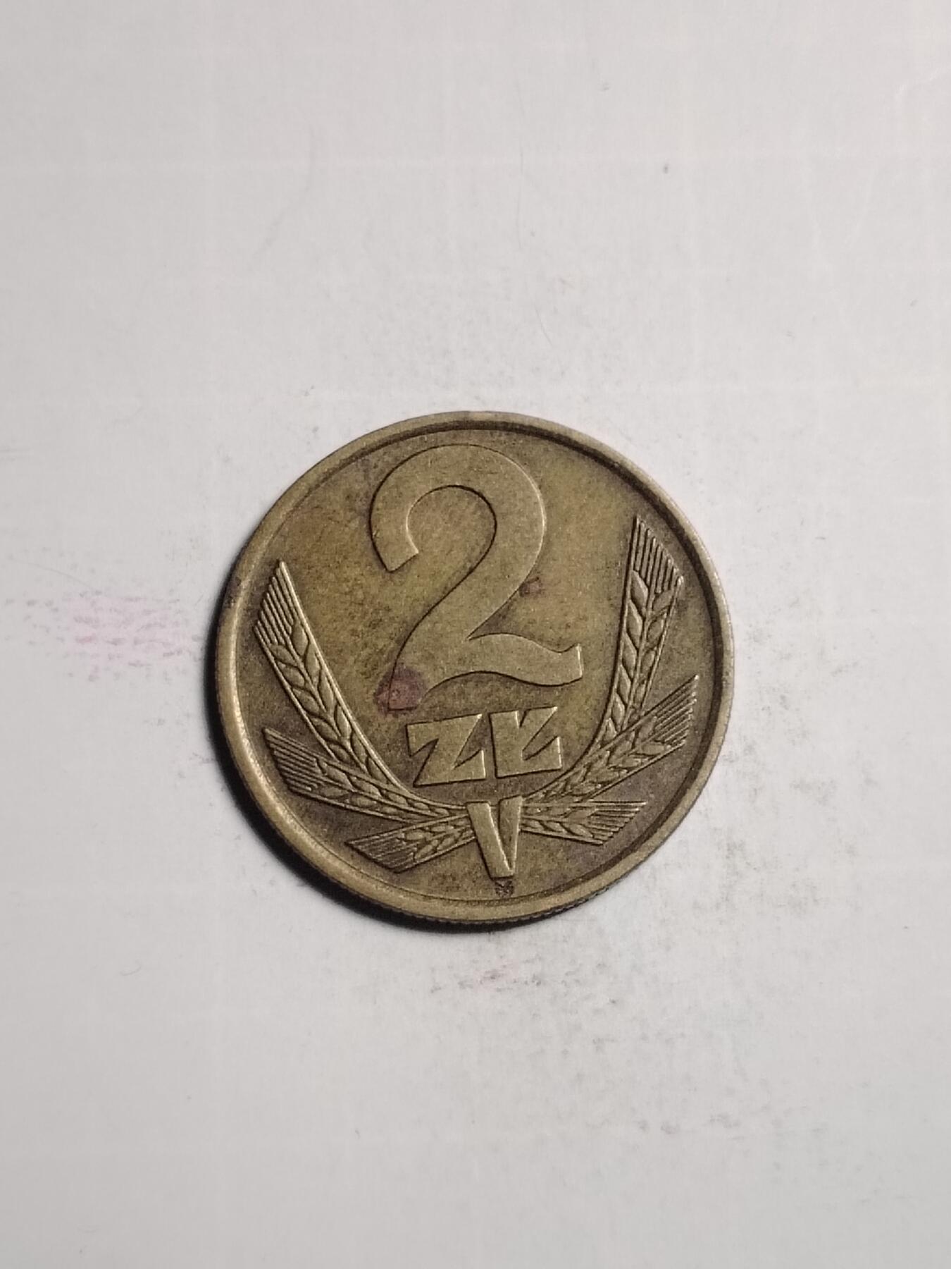 20250130 波兰