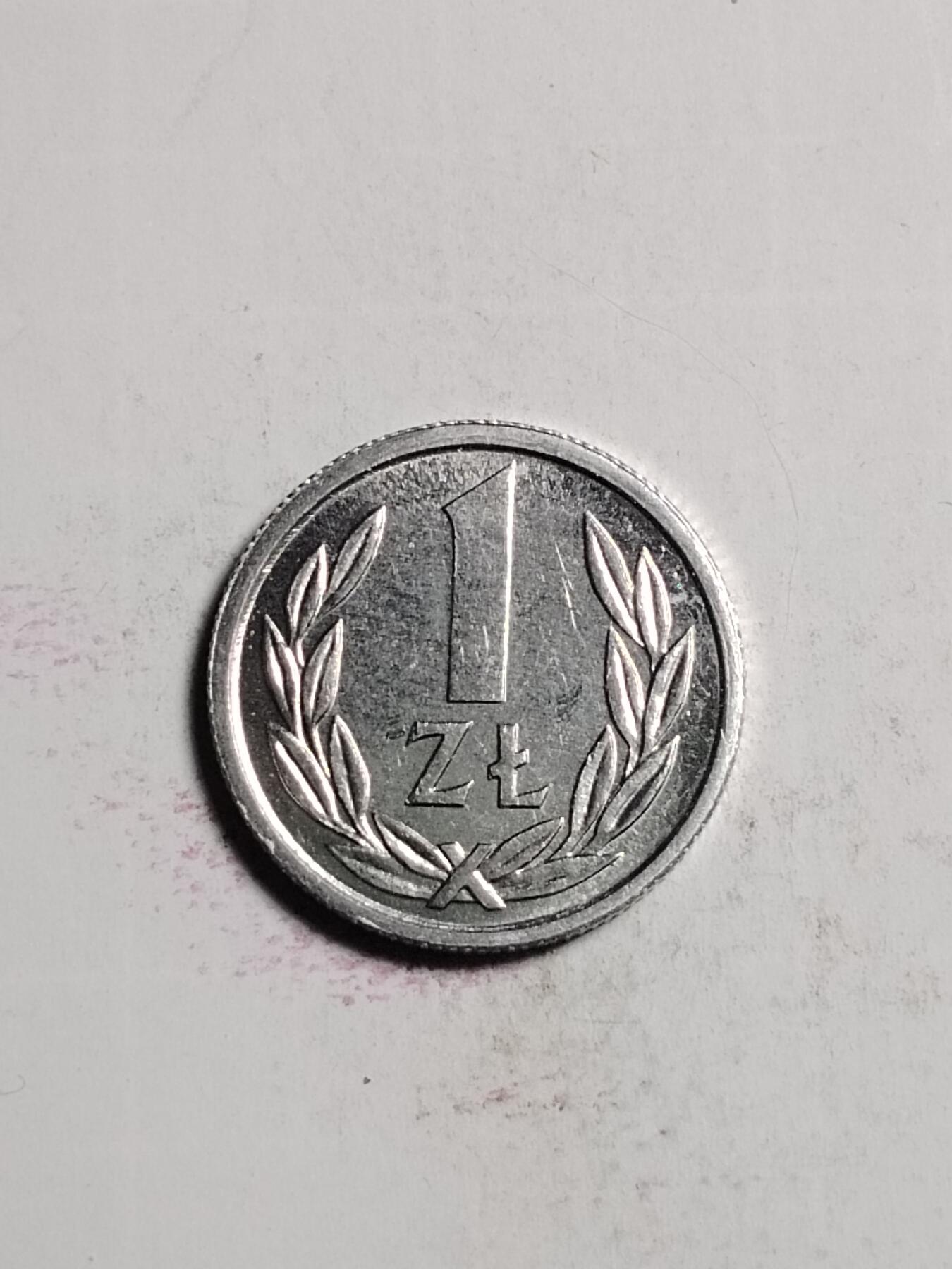 20250130 波兰