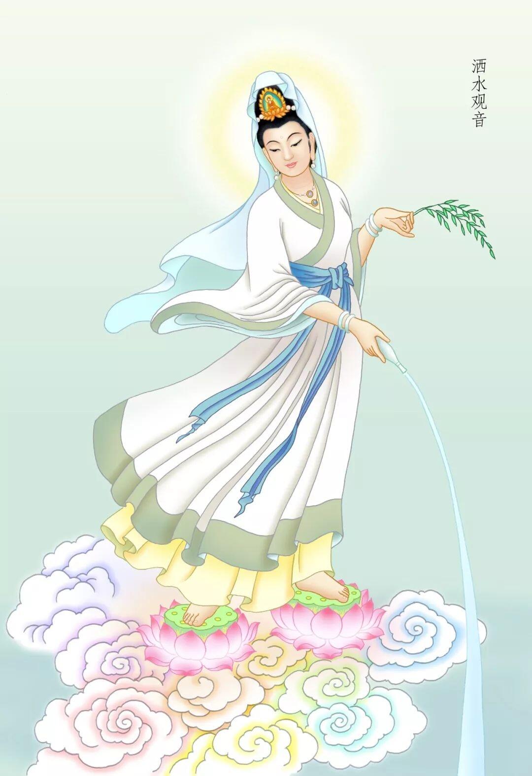 [2月2日奇珍异宝评级卡]