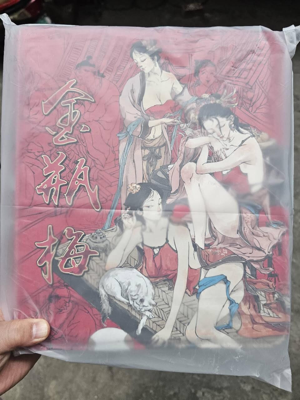 龍虎卡牌2025年第一场（大家春节快乐） 超吉梦金瓶梅主题卡册（不含卡页）