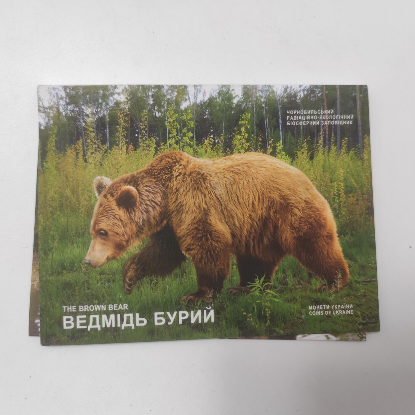 成斌钱币2025.2.3新年拍卖 