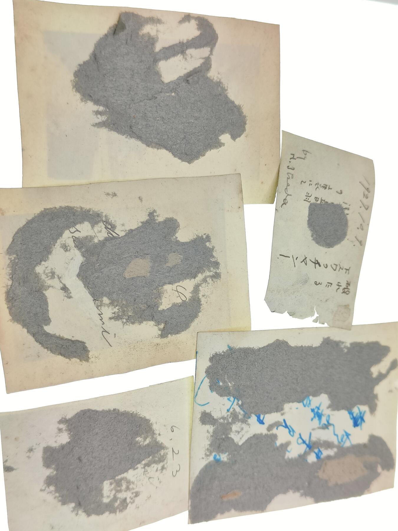 0元起拍勋章 第232期 咸鱼国勋章拍卖专场 2月9日（周衵）下午6：00开始 日本大正时期照片五张