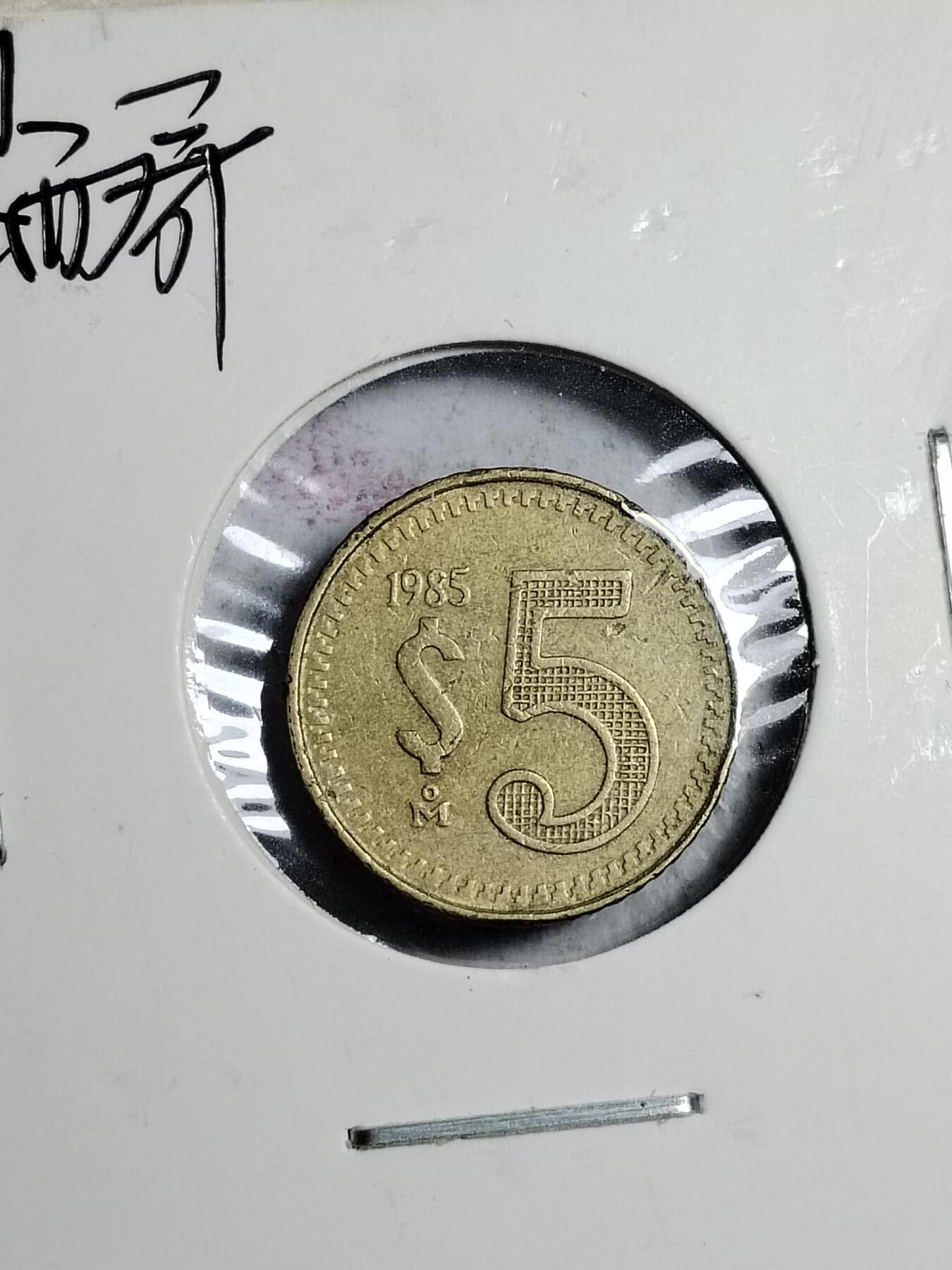 20250206 墨西哥