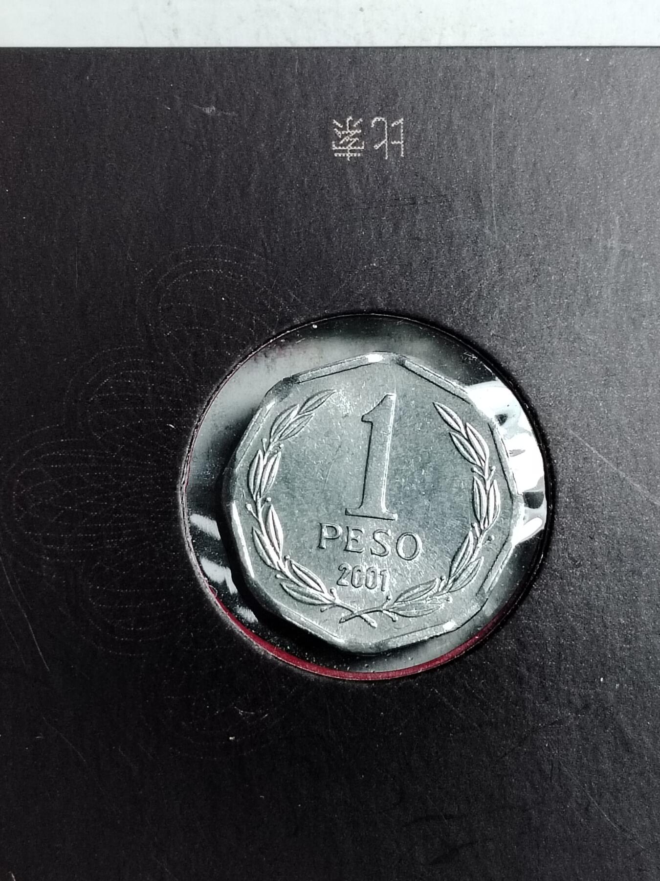 20250206 智利