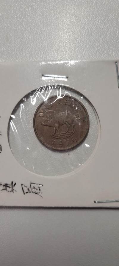 2025第四期 百慕大一分