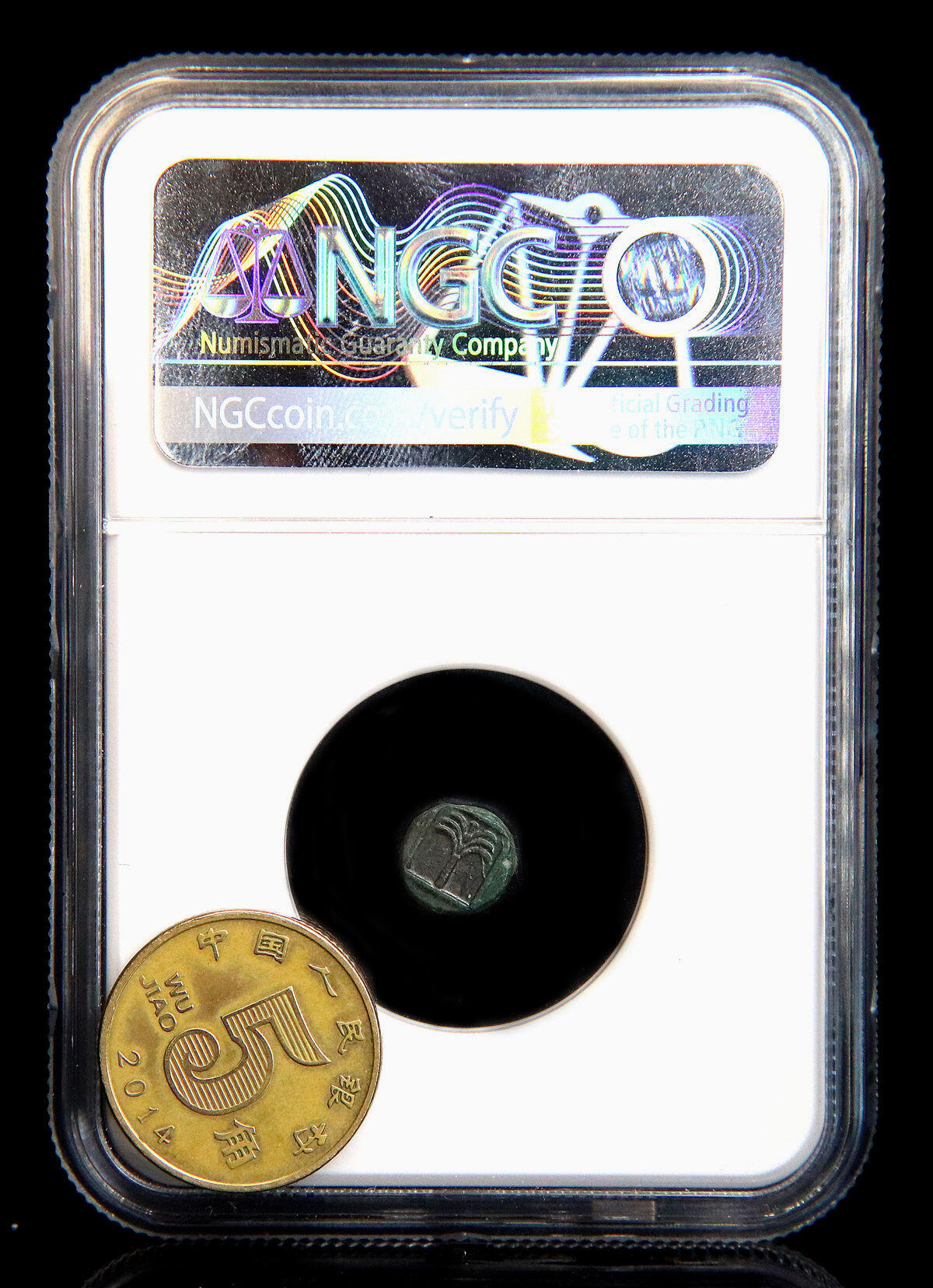 顶级飞马和棕榈树小铜币NGC评级AU加星*双5分b31-18