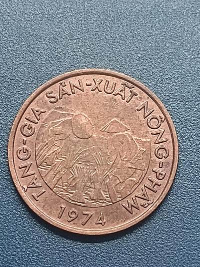 吉祥压岁钱外国硬币第55场 越南纪念币好品