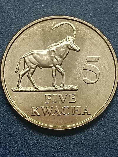 吉祥压岁钱外国硬币第55场 赞比亚硬币