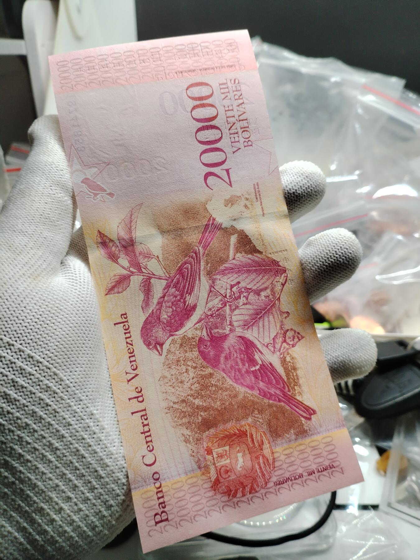 20250208纸币专场 外钞