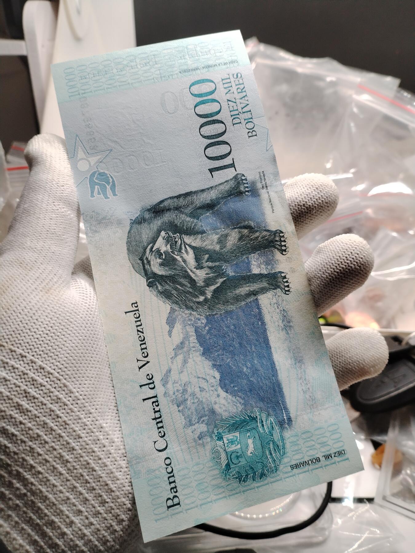 20250208纸币专场 外钞