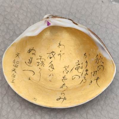 猩哥外币小铺➨【第81场】 - 贝壳画