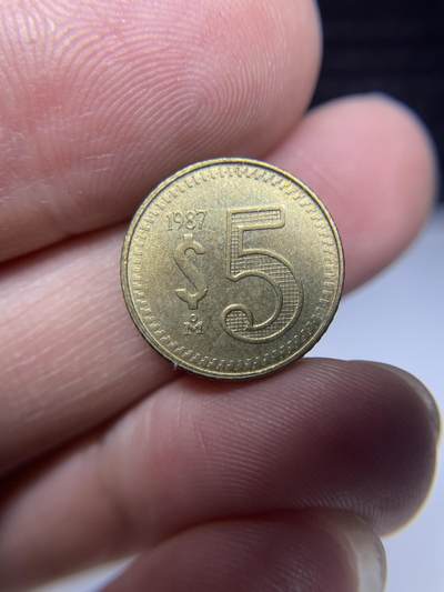 每日一拍，2025年集古藏今外币拍卖第二期-第3场—（总第203拍），可以寄存60天，满160元包邮。 - 1987年墨西哥5比索