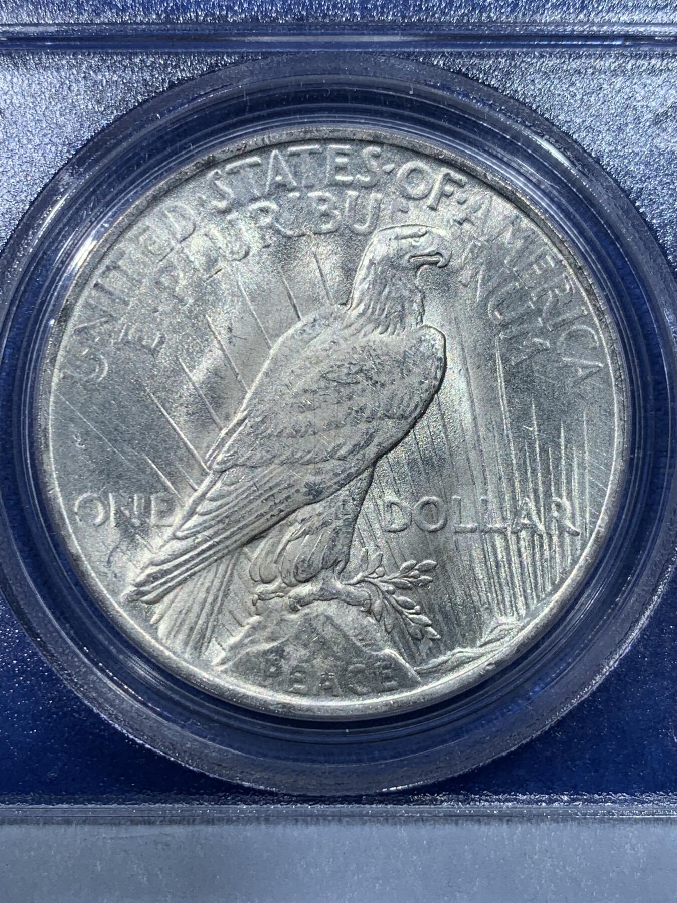 《竞宝斋》第352场 周日，周一 2场连拍 （全场包邮） PCGS MS64 美国1923年和平1美元大银币