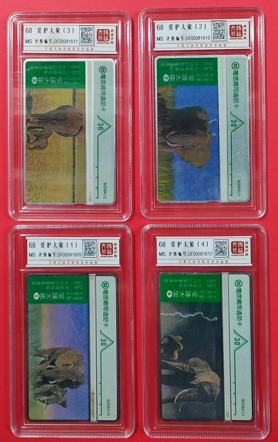 《鸿通俱乐部》拍卖第24期  2月12日21:00延时节拍 台湾光学新卡《爱护大象》鸿通68分*4全