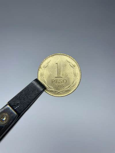 每日一拍，2025年集古藏今外币拍卖第二期-第5场—（总第205拍），可以寄存60天，满160元包邮。 - 1985年智利1比索