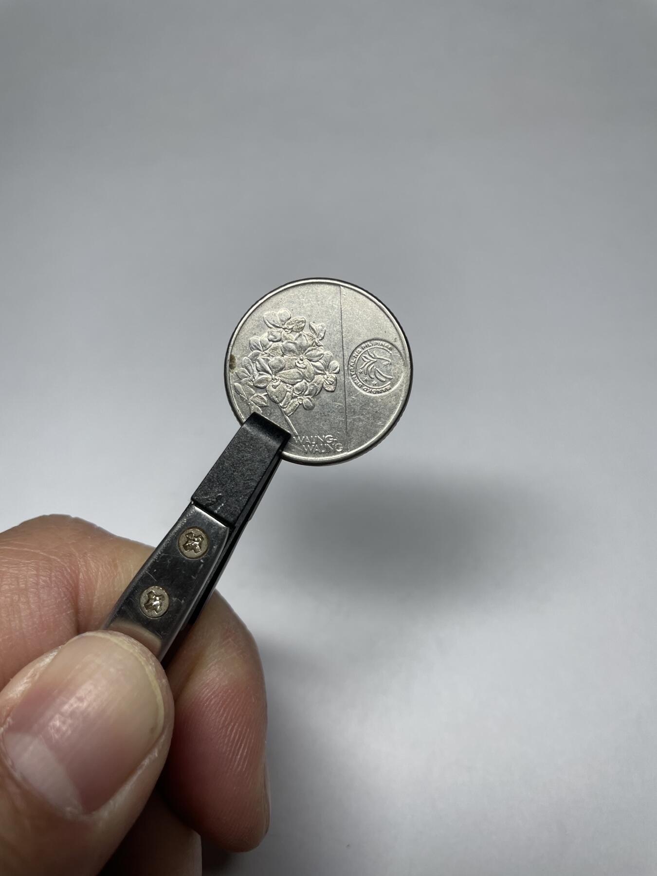 每日一拍，2025年集古藏今外币拍卖第二期-第6场—（总第206拍），可以寄存60天，满160元包邮。 2018年菲律宾1比索