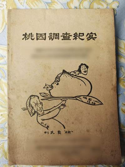 「20250215」三联收藏第二拍  精品收藏全场零起 - 「瓜皮」有趣的漫画批判，20面但是图片「王小美的」非常多，桃园纪实少见的漫画版