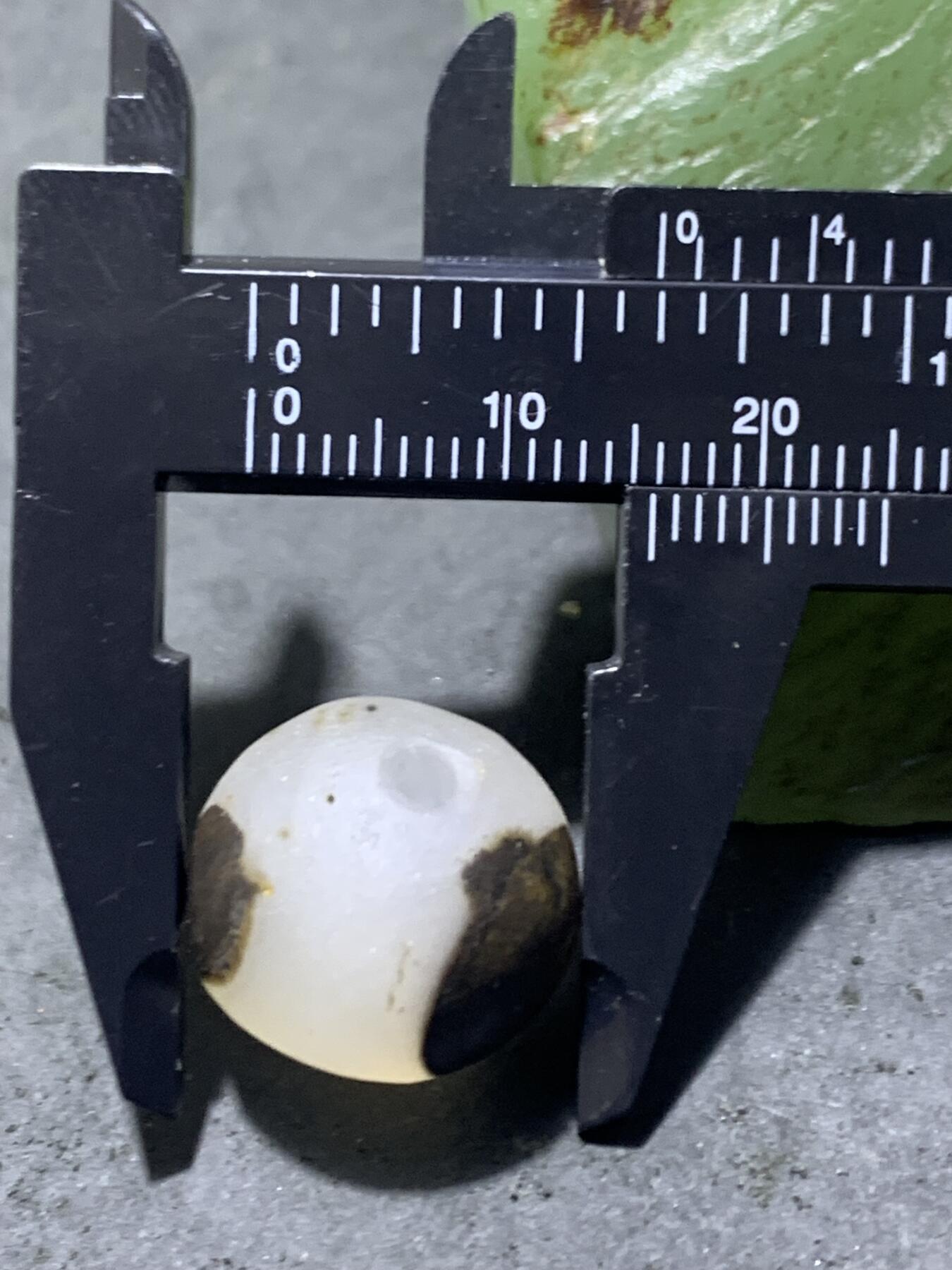 精美亚光高玉化冻料战国红玛瑙天眼纹随形圆珠一个