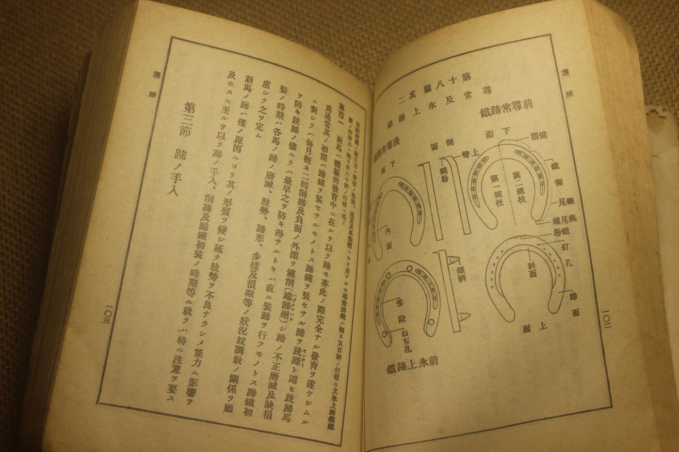 2025.2.17日系杂货小拍卖 《马事提要》昭和六年印发，图文并茂详细介绍了战马的选育以及保养等细节，年代久远纸张略有痕迹，结构完好