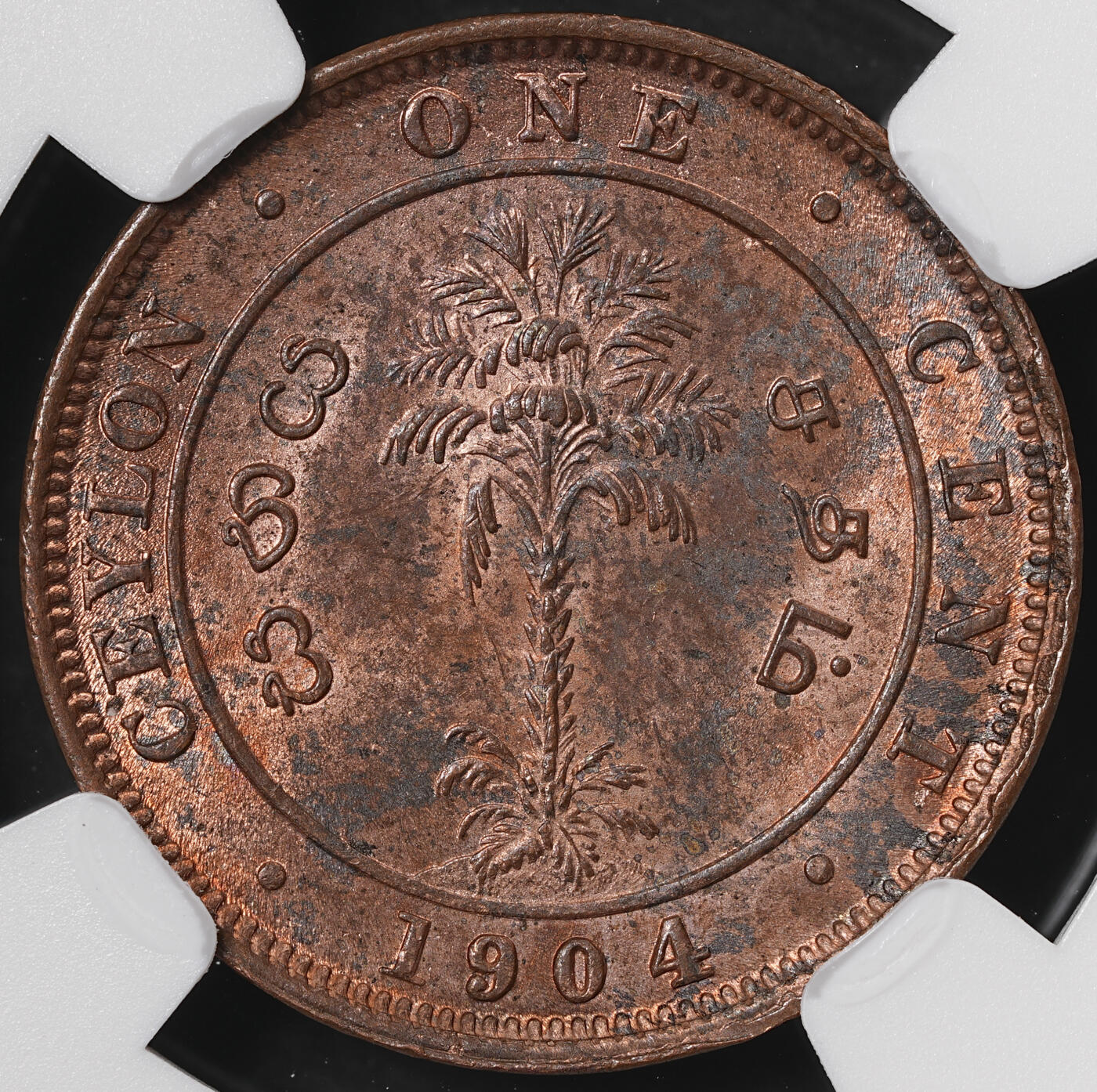 修遠堂世界钱币第五十七期 NGC MS63RB 1904年英属锡兰1分铜币