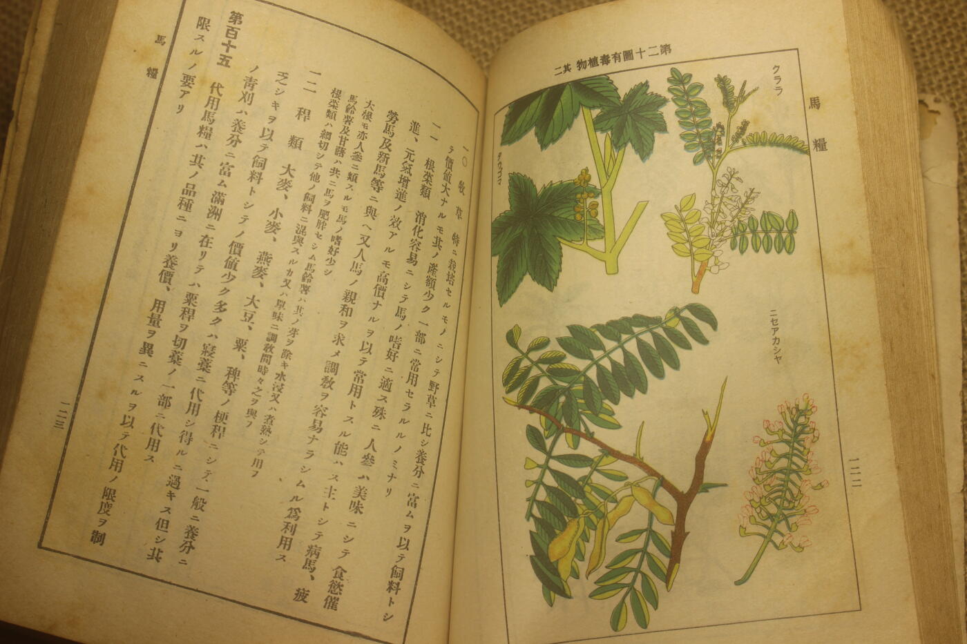 2025.2.17日系杂货小拍卖 《马事提要》昭和六年印发，图文并茂详细介绍了战马的选育以及保养等细节，年代久远纸张略有痕迹，结构完好