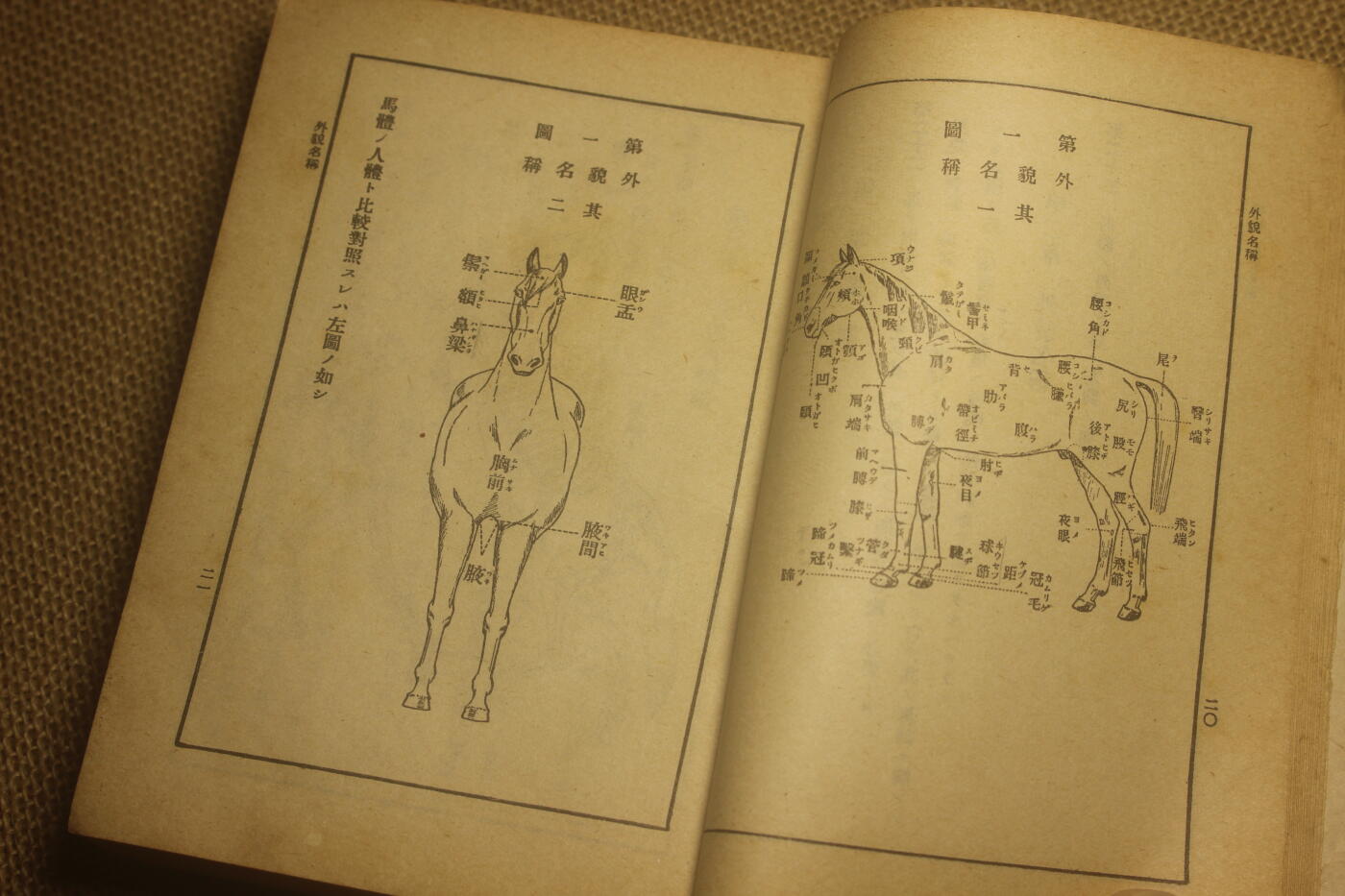 2025.2.17日系杂货小拍卖 《马事提要》昭和六年印发，图文并茂详细介绍了战马的选育以及保养等细节，年代久远纸张略有痕迹，结构完好
