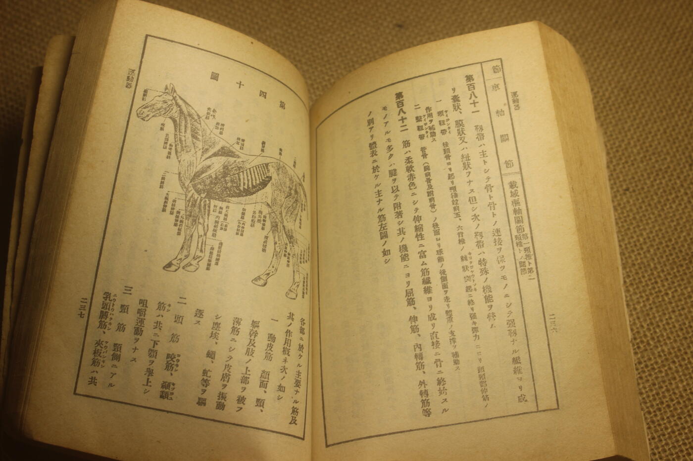 2025.2.17日系杂货小拍卖 《马事提要》昭和六年印发，图文并茂详细介绍了战马的选育以及保养等细节，年代久远纸张略有痕迹，结构完好