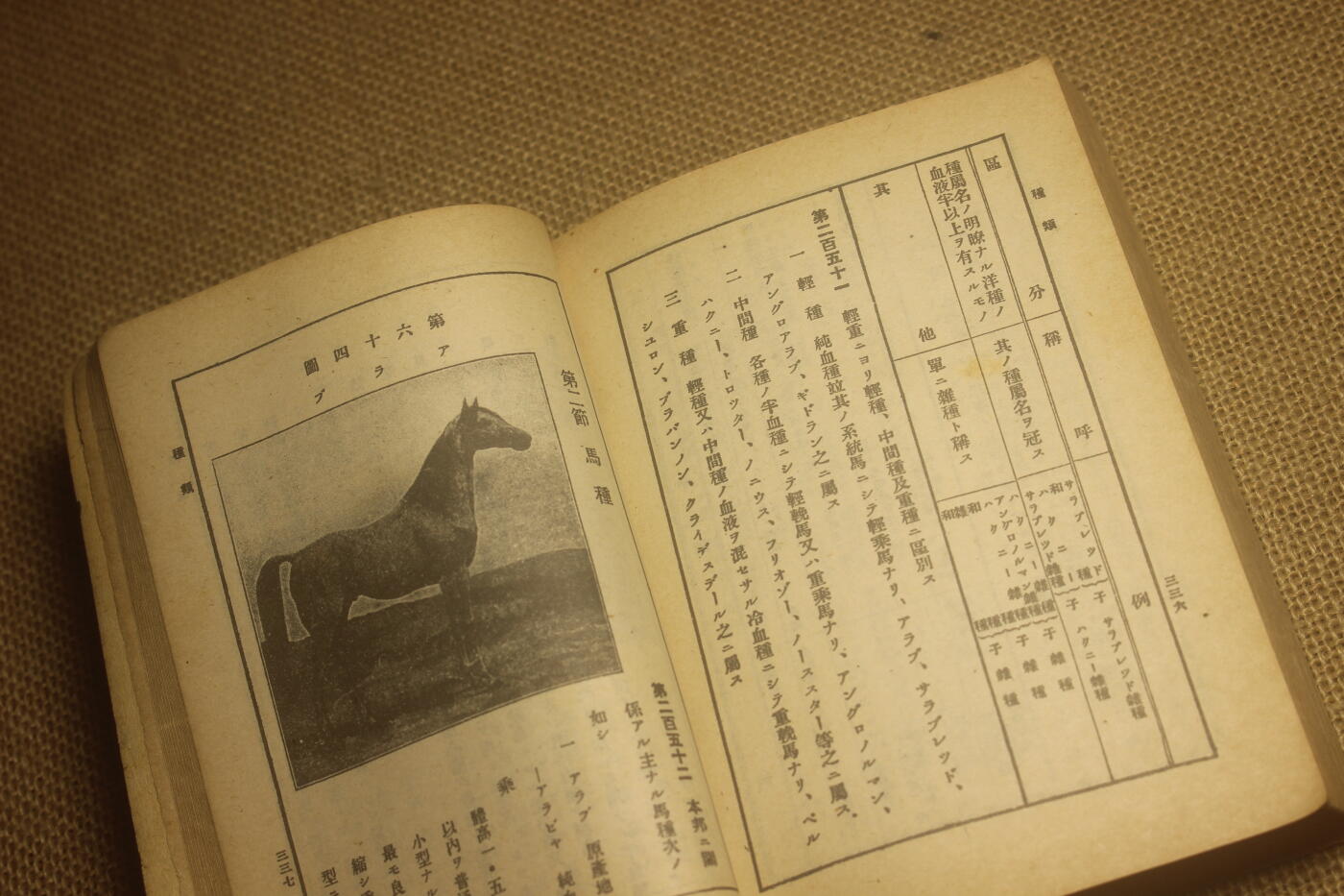 2025.2.17日系杂货小拍卖 《马事提要》昭和六年印发，图文并茂详细介绍了战马的选育以及保养等细节，年代久远纸张略有痕迹，结构完好