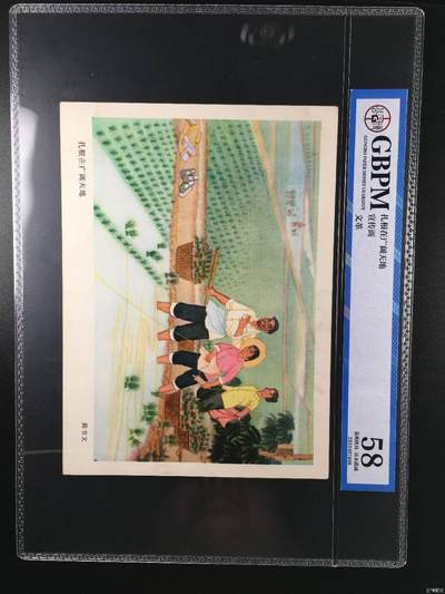 公博评级宣传画，都是特殊年代发行，时代特征明显 - 公博评级，宣传画《扎根在广阔天地》，这是一张宣传画