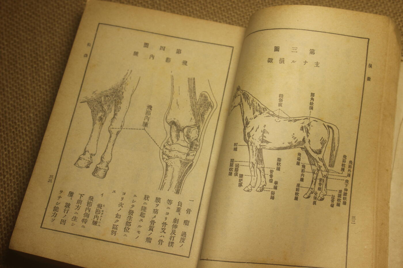 2025.2.17日系杂货小拍卖 《马事提要》昭和六年印发，图文并茂详细介绍了战马的选育以及保养等细节，年代久远纸张略有痕迹，结构完好