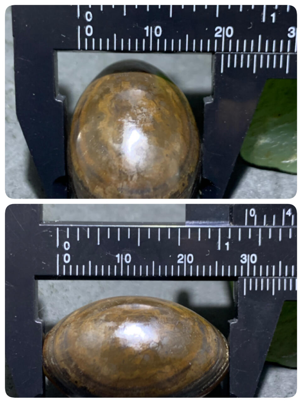 精美高玉化战国红玛瑙原皮天眼桶珠一个