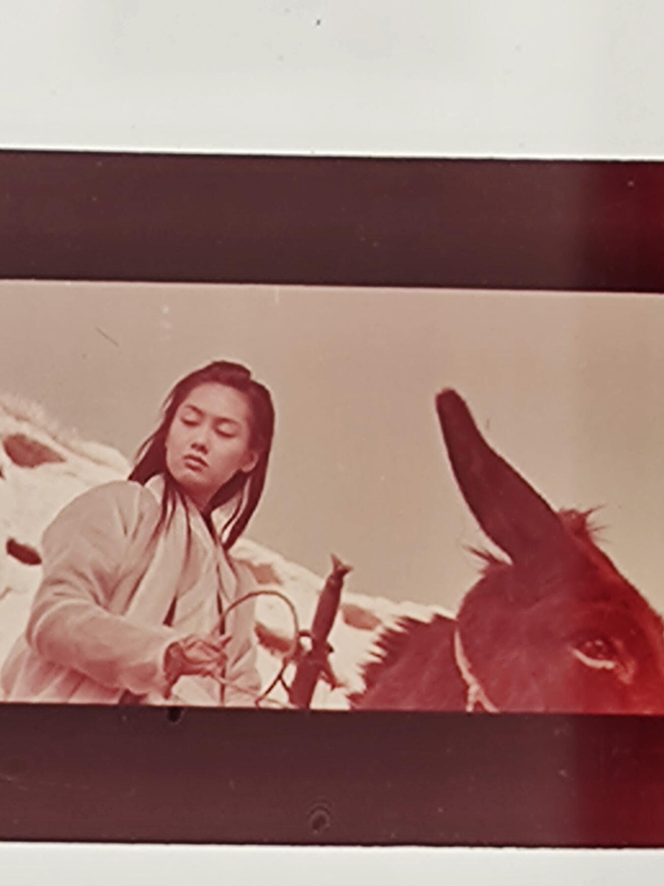 大话西游之大圣娶亲紫霞仙子