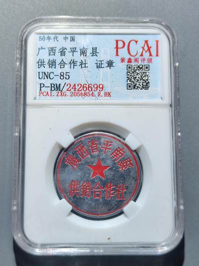 PCAI钱币18-227 钱币小专场 - 广西平南证章