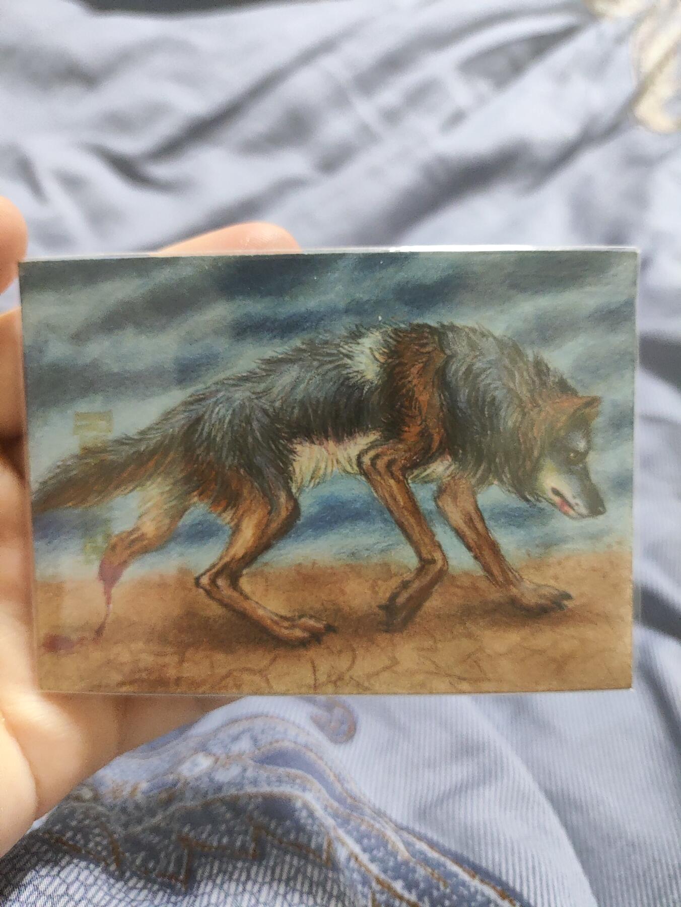 阳大大卡牌超级大甩拍第41期（周五晚上八点半截拍，持续收拍品，进群福利早知道）