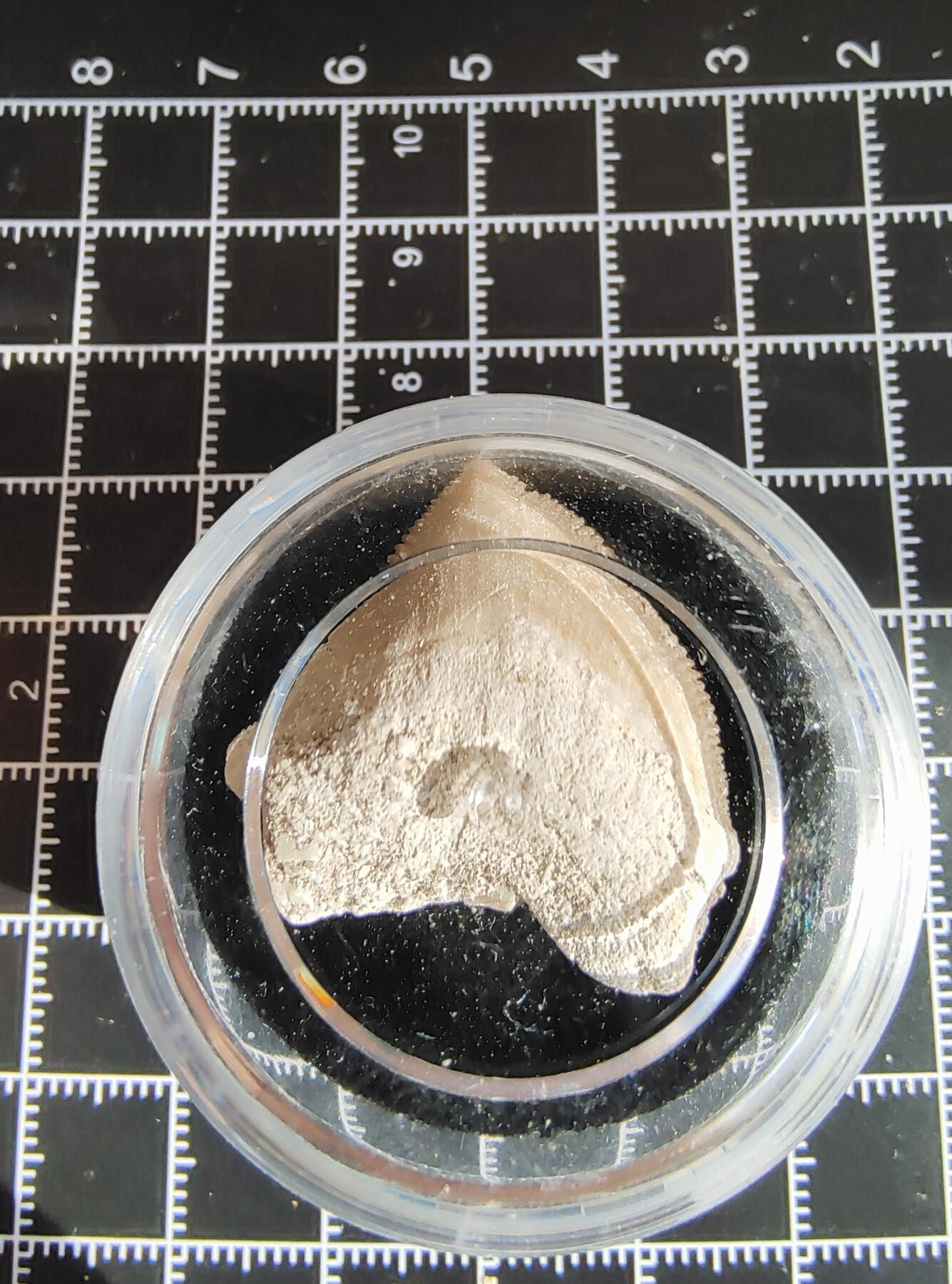 牛蛙牛蛙的牙牙乐第六场 锯齿牙牙乐j1-2