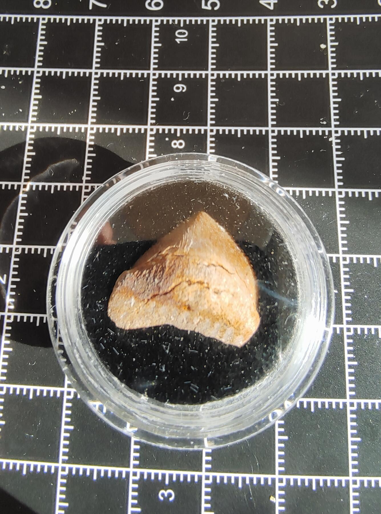 牛蛙牛蛙的牙牙乐第六场 锯齿牙牙乐j5-6