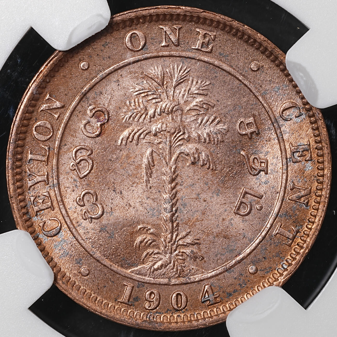 修遠堂世界钱币第五十八期 NGC MS64RB 1904年英属锡兰1分铜币