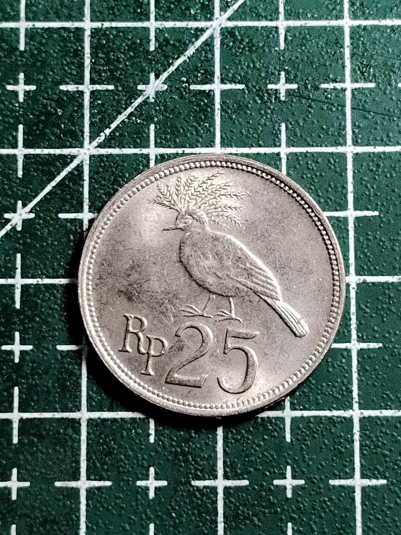20250217 印度尼西亚