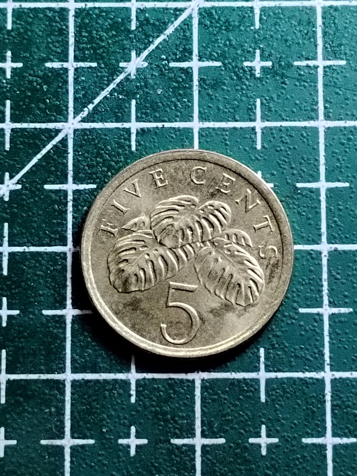 20250217 新加坡