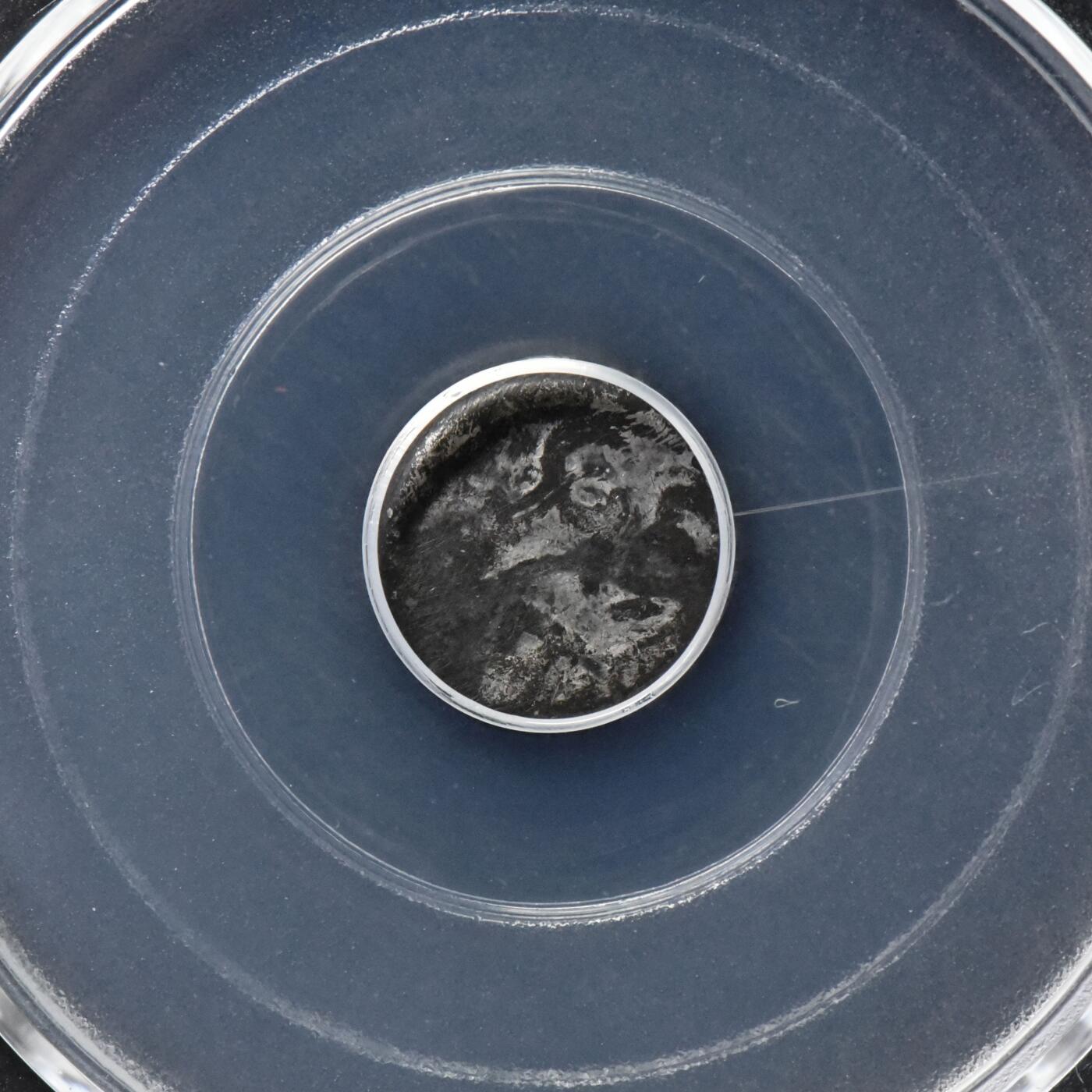 【良泉】【直播场】第三十期，4月24日晚19.30点开拍！200组，西方古代钱币、古代印章专场（本场结束后，本月寄存物品需要邮寄清空，有寄存的朋友请注意）