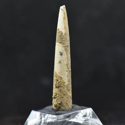 【良泉】【直播场】第二十四期，3月6日晚19.30点开拍！181组，古希腊 古罗马 拜占庭 古波斯 古印度 伊斯兰等 古代钱币杂项专场  - 约公元前三千纪【西亚】骨质箭头，长度约5厘米，重3.3克