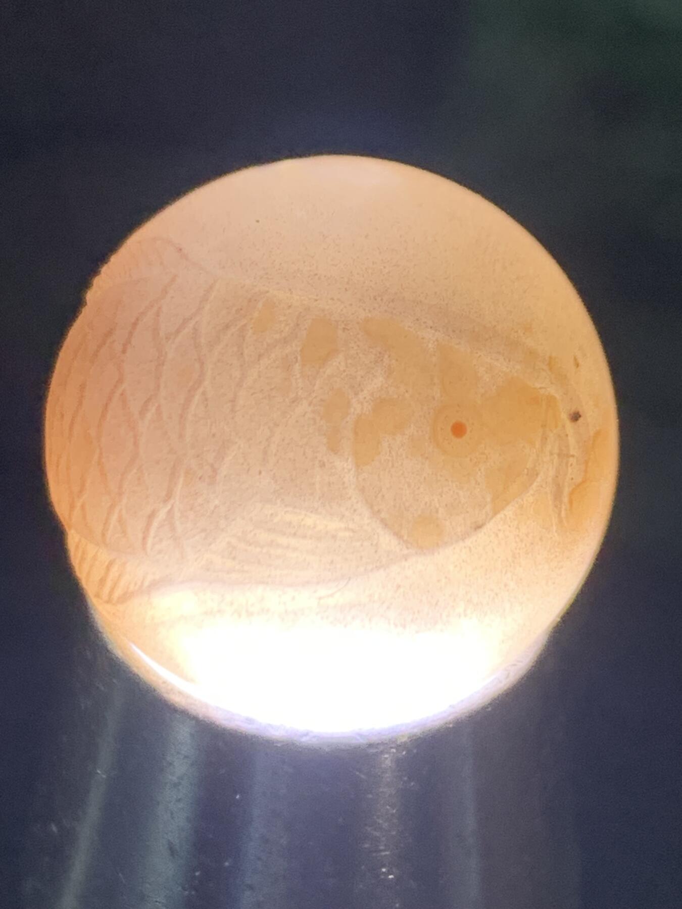 精美冰粉紫罗兰亚光战国红玛瑙手工俏色巧雕金龙鱼圆珠一个，