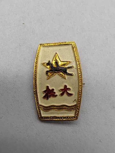 抗大纪念章 - 抗大纪念章