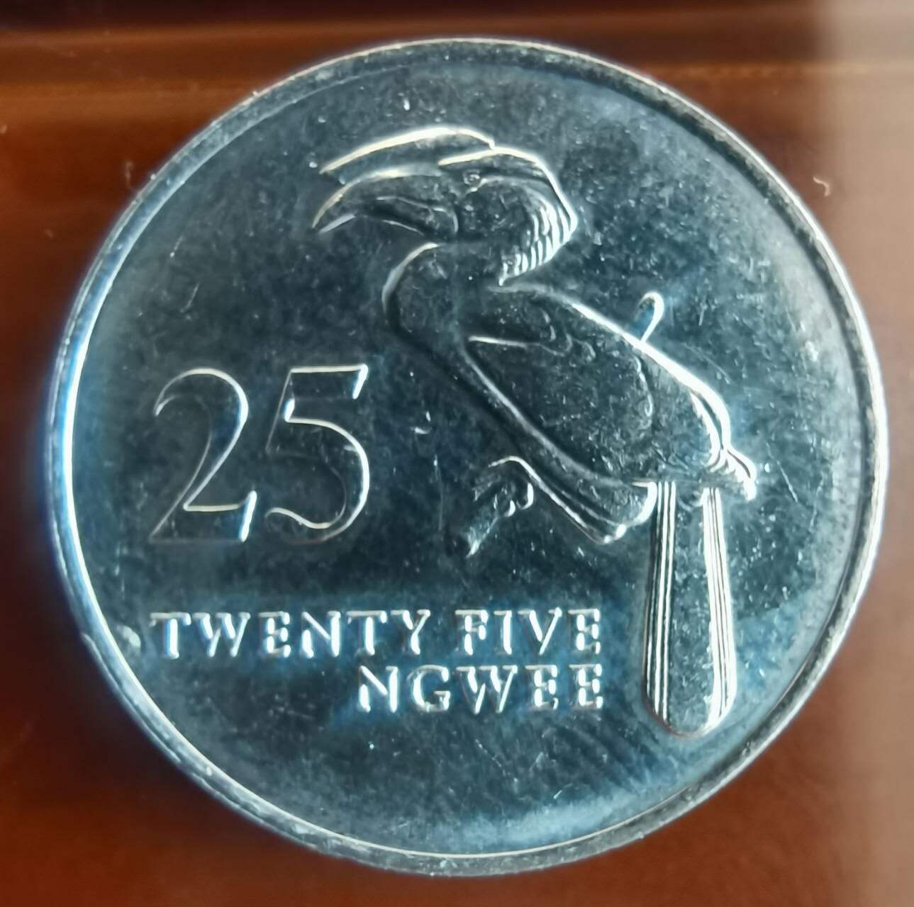 代拍以梦为马的第1场 赞比亚25分
