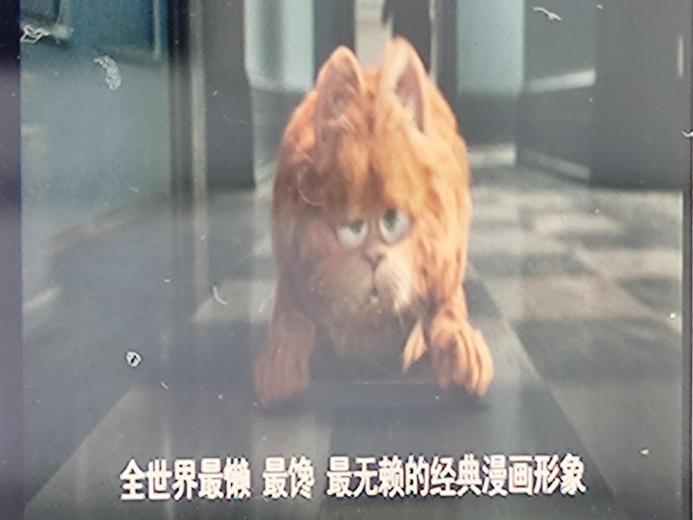 加菲猫（电影胶片） 加菲猫（电影胶片）