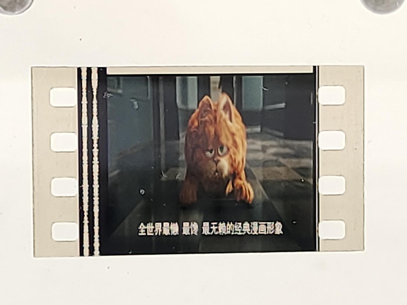 加菲猫（电影胶片） 加菲猫（电影胶片）
