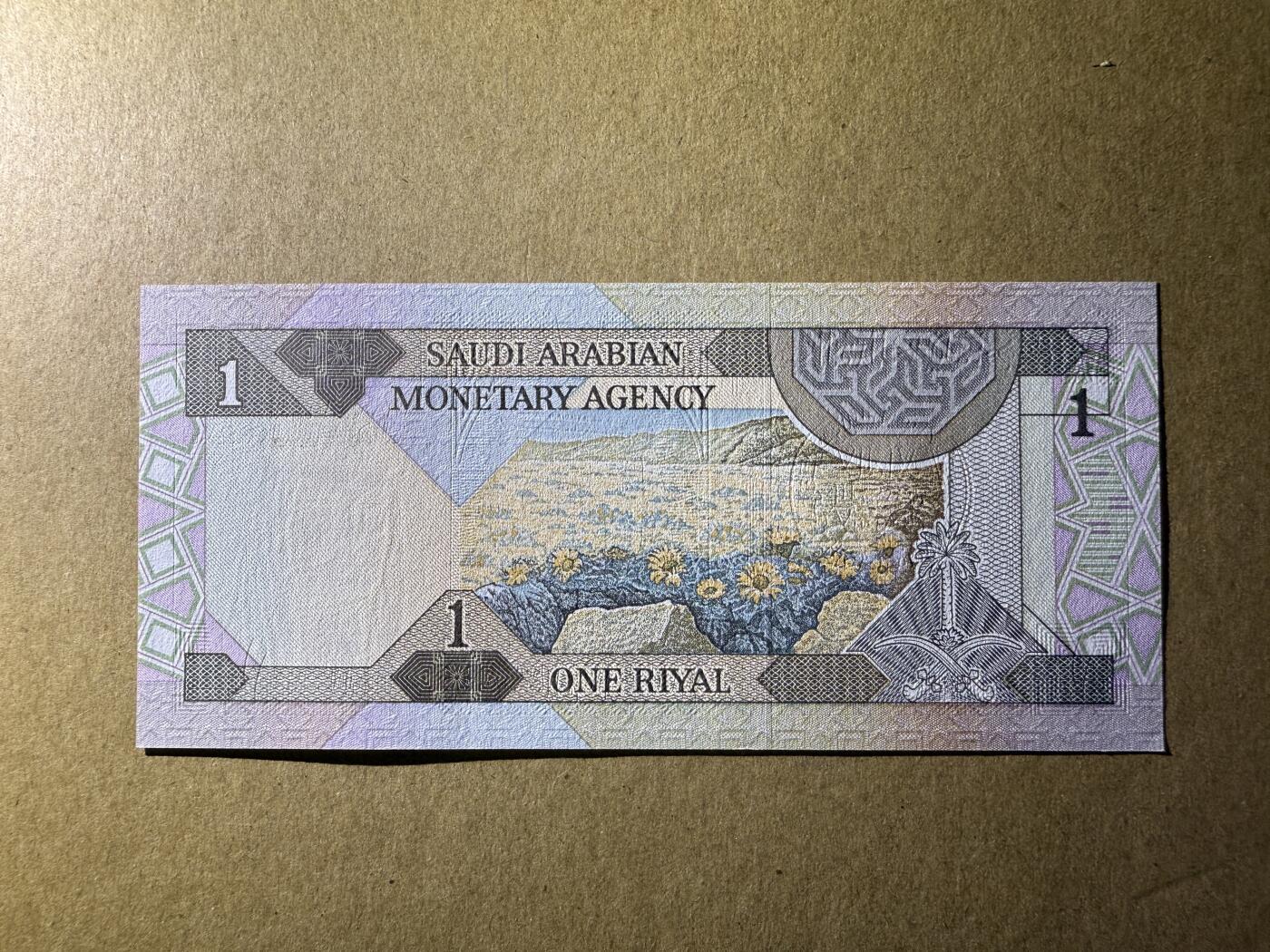 《艾美收藏》(原张总收藏)第188期-外币荟萃 沙特阿拉伯1里亚尔 UNC 1984年